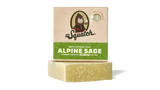 Alpine Sage