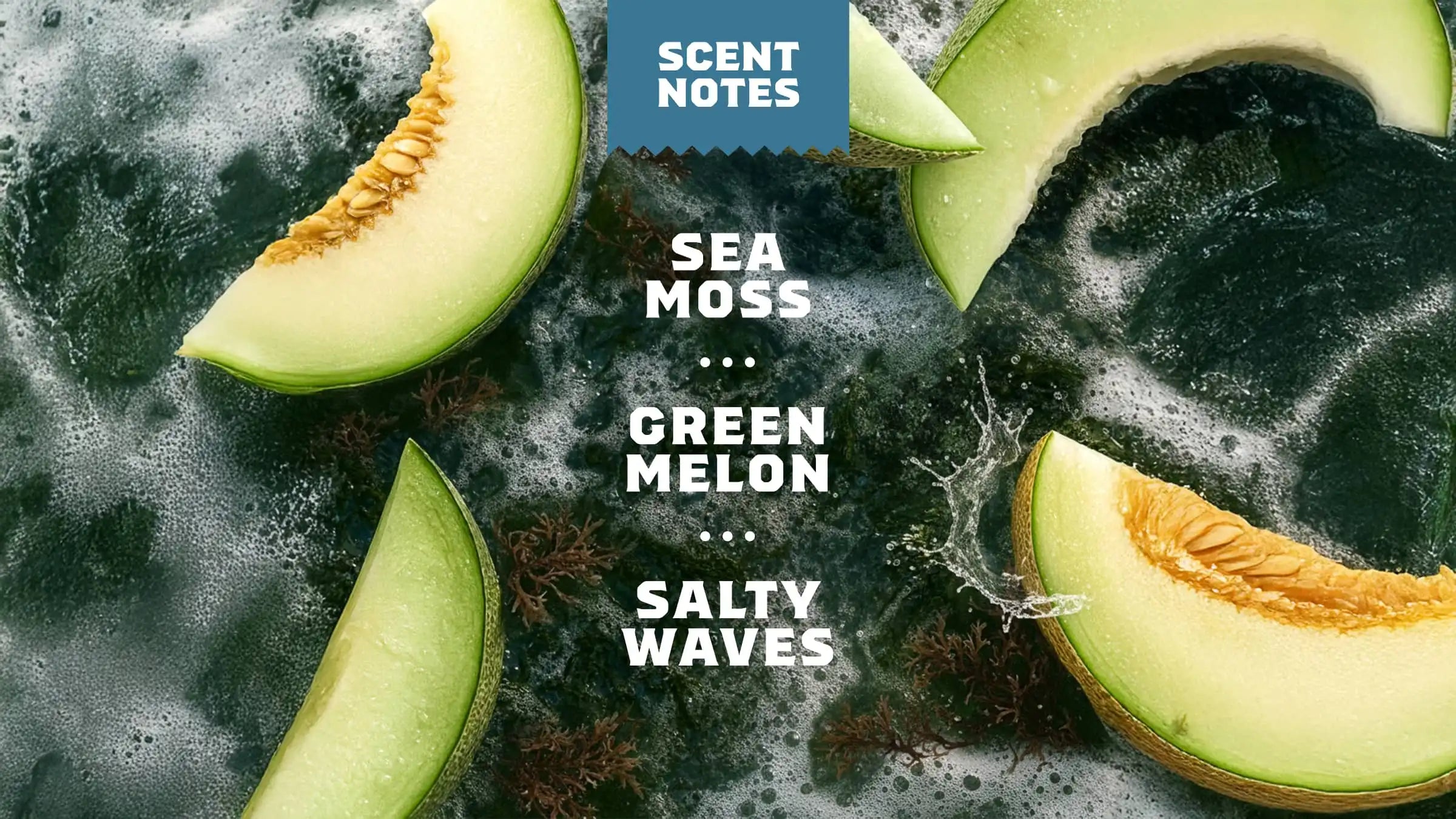 14 oz Coastal Mist Body Wash