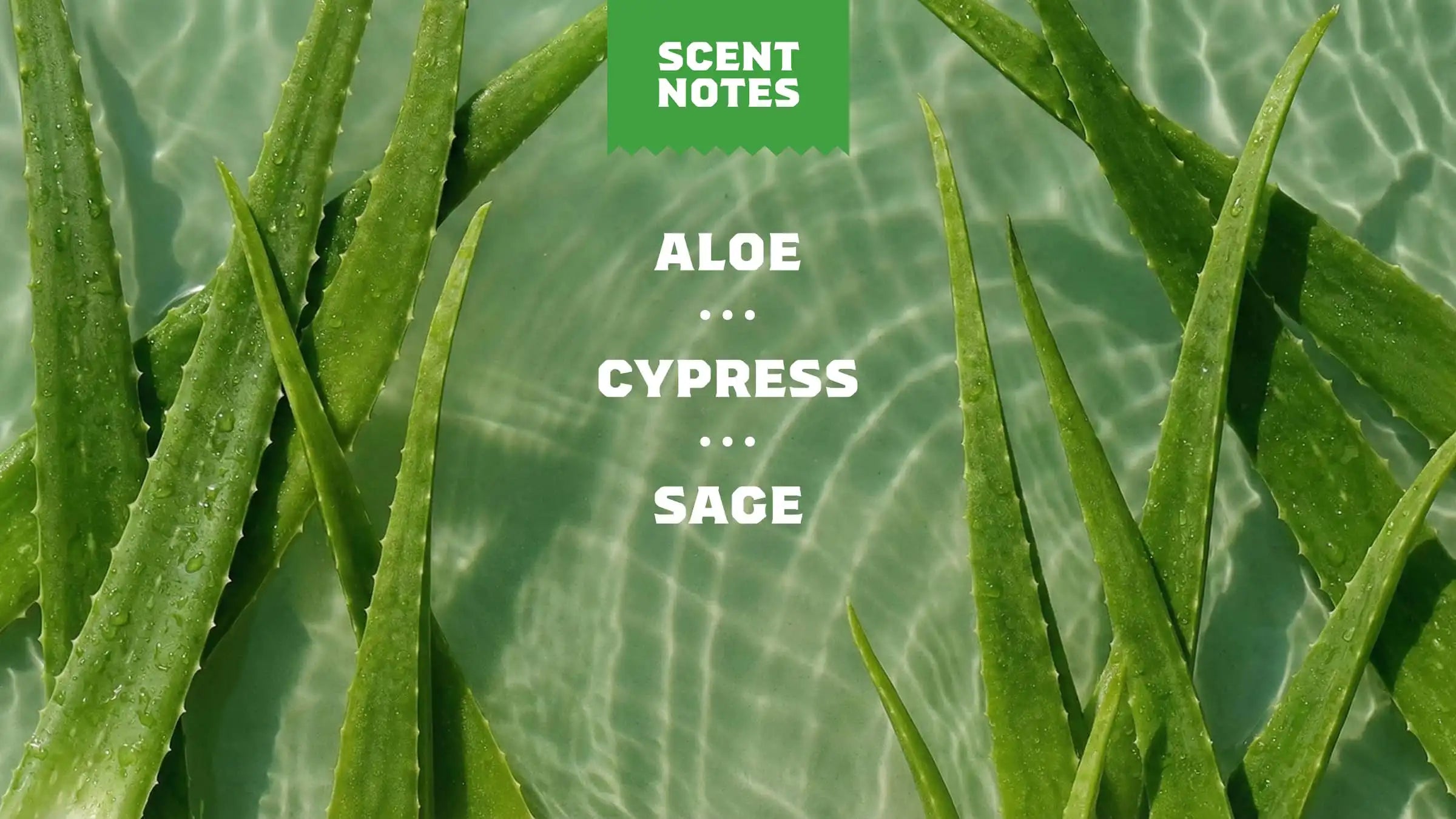 Cool Fresh Aloe Deodorant