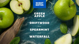 Fresh Falls Shampoo