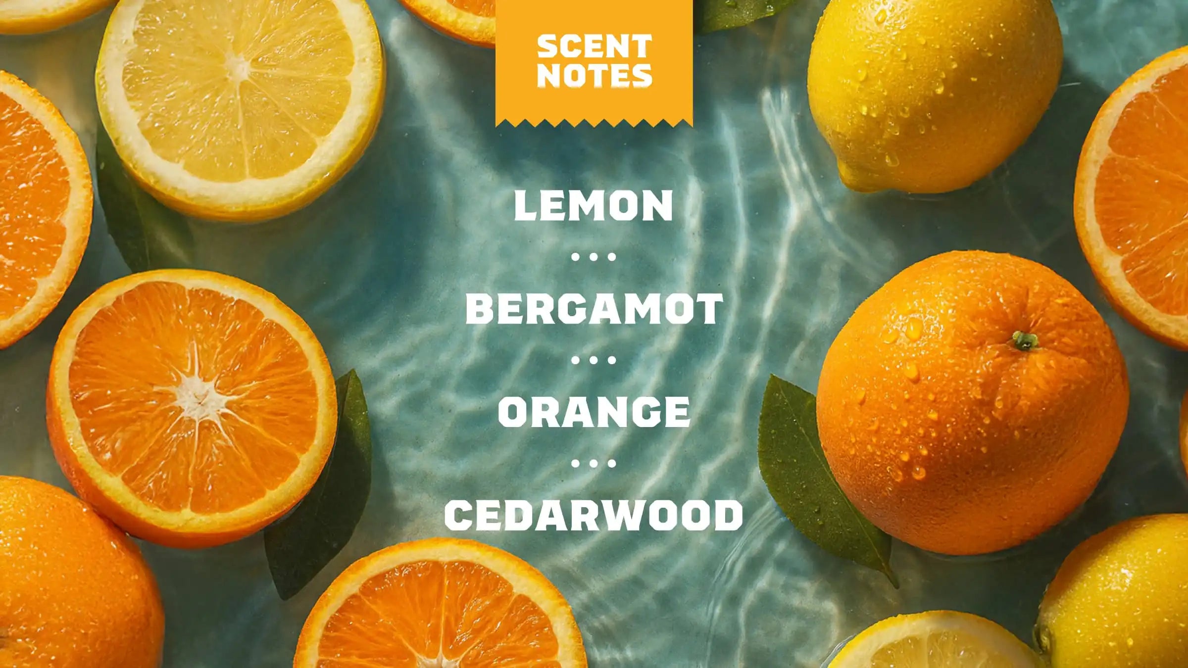 Summer Citrus Shampoo