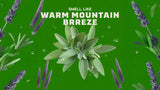 Alpine Sage