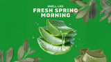 Cool Fresh Aloe