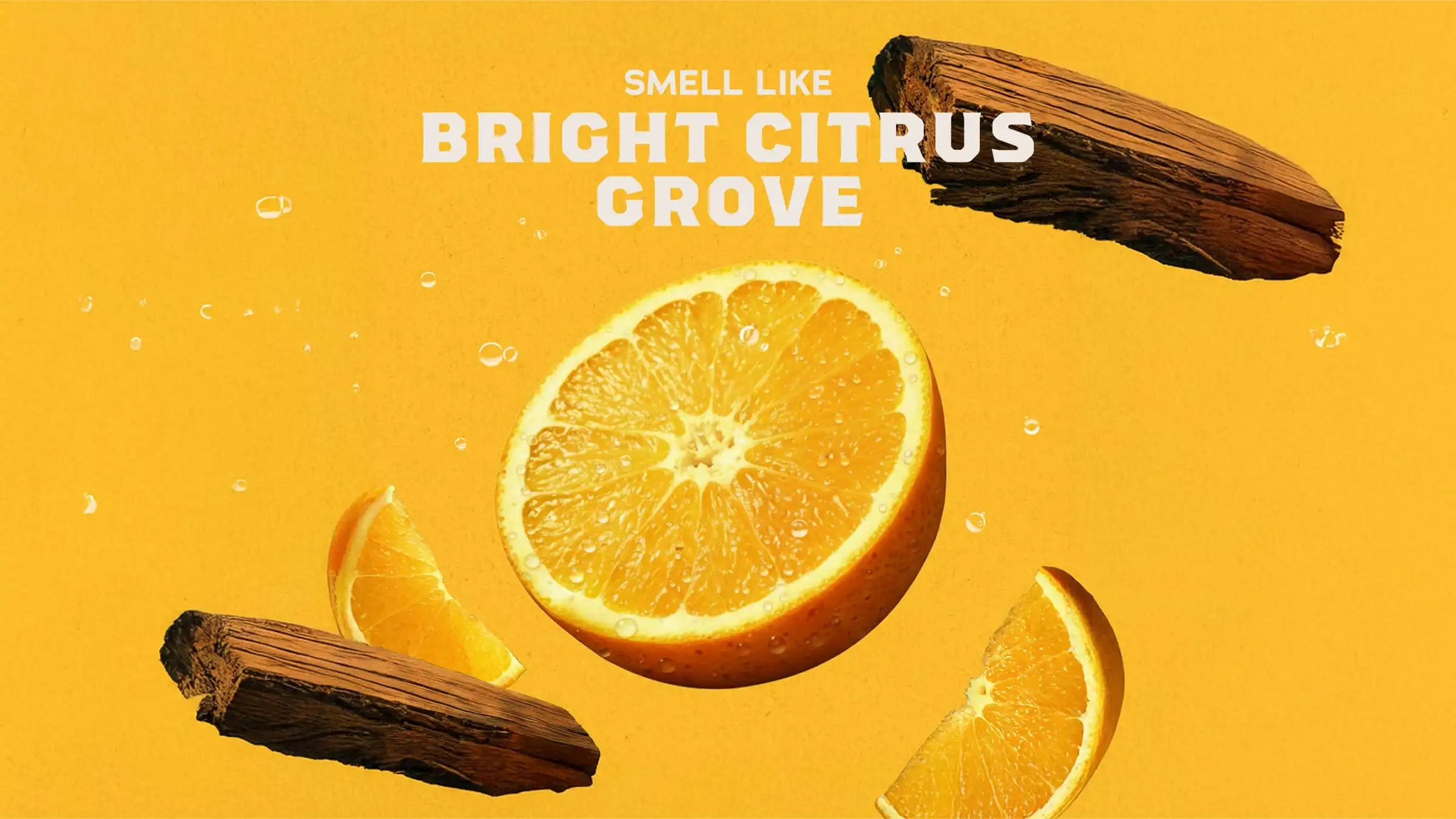14 oz Summer Citrus Body Wash